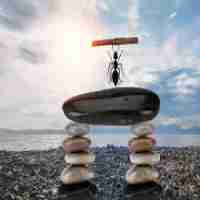 关​于‍精​准‍的﻿句‍子‌